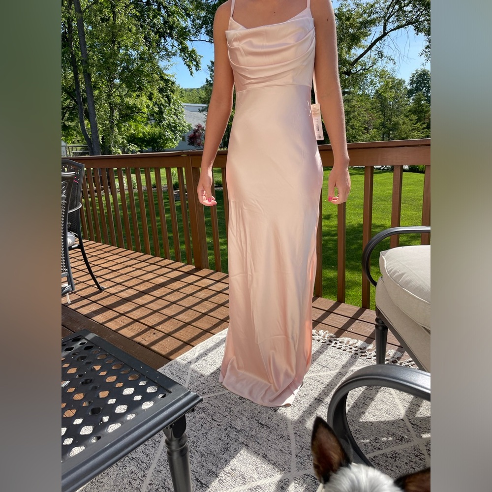 Revelry Skye Satin Dress Blush Size 6